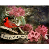 Best licensed practical nursing (LPN) programs in West Virginia